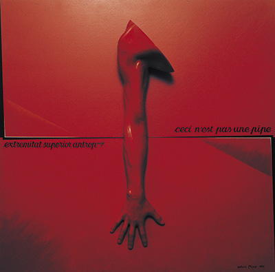 EXTREMITAT SUPERIOR ANTROPOMORFA 1991